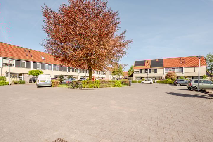 Foto 28 van E.C.de Greefhof 17