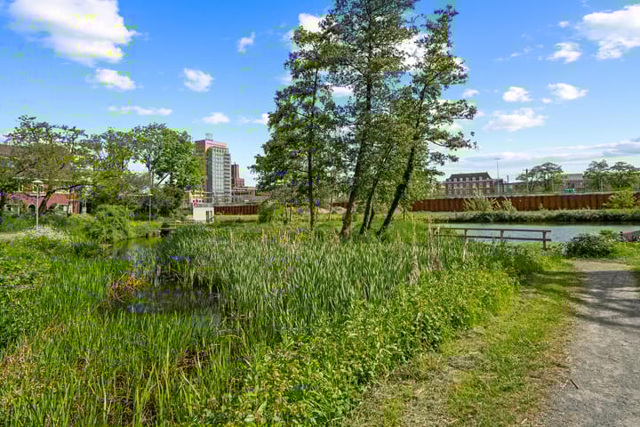 Foto 55 van Jan Luykenstraat 15