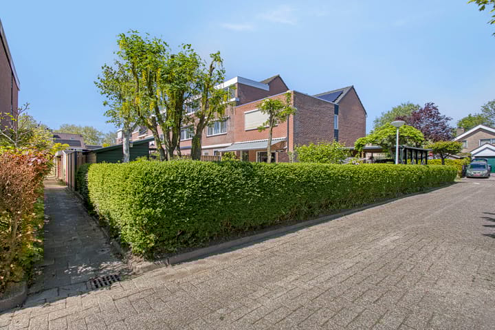 Foto 39 van Boeier 124