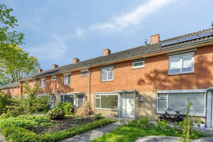 De Singel 20