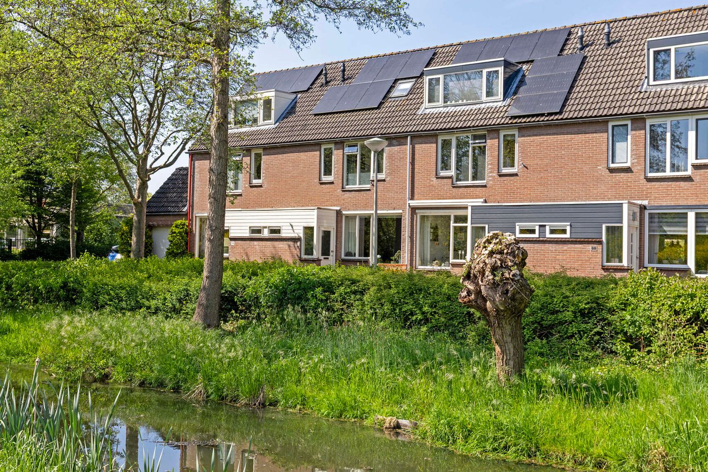 Foto 1 van Honingzwam 92