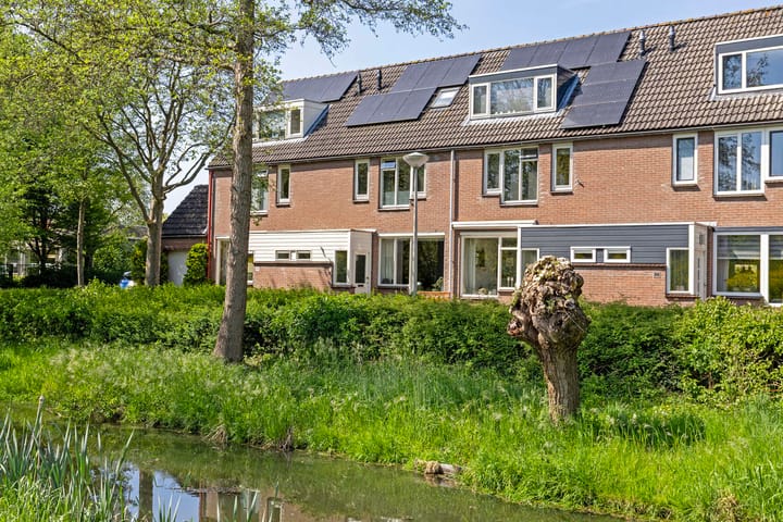 Foto 1 van Honingzwam 92