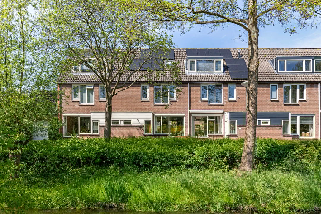 Foto 2 van Honingzwam 92