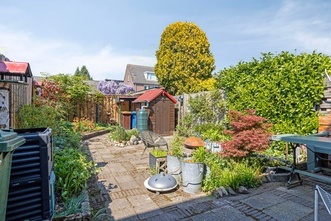 Foto 11 van Honingzwam 92