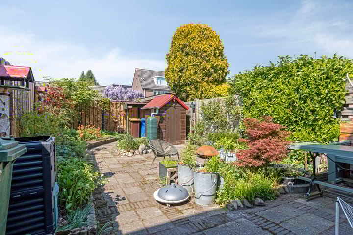 Foto 11 van Honingzwam 92