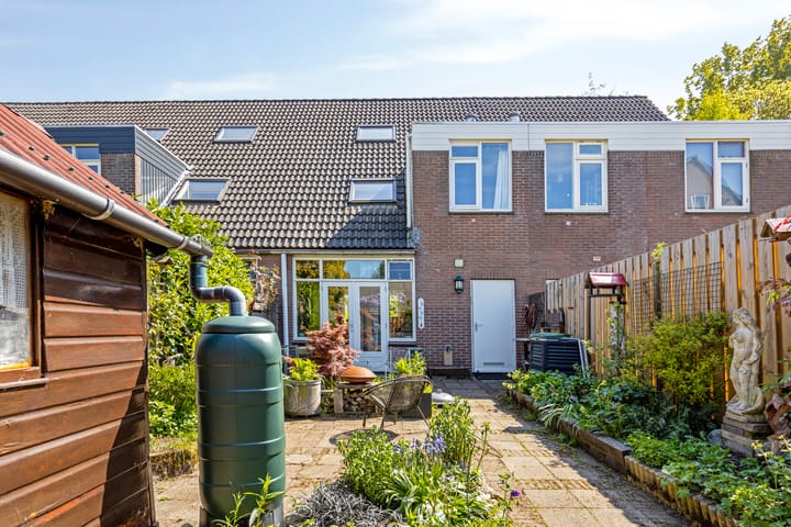 Foto 12 van Honingzwam 92