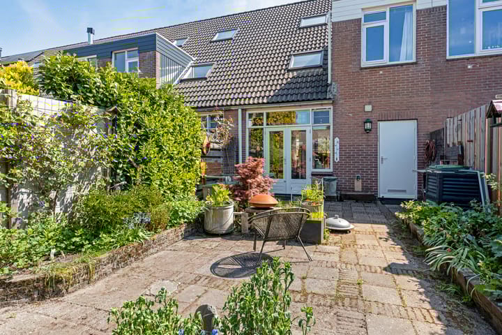 Foto 13 van Honingzwam 92