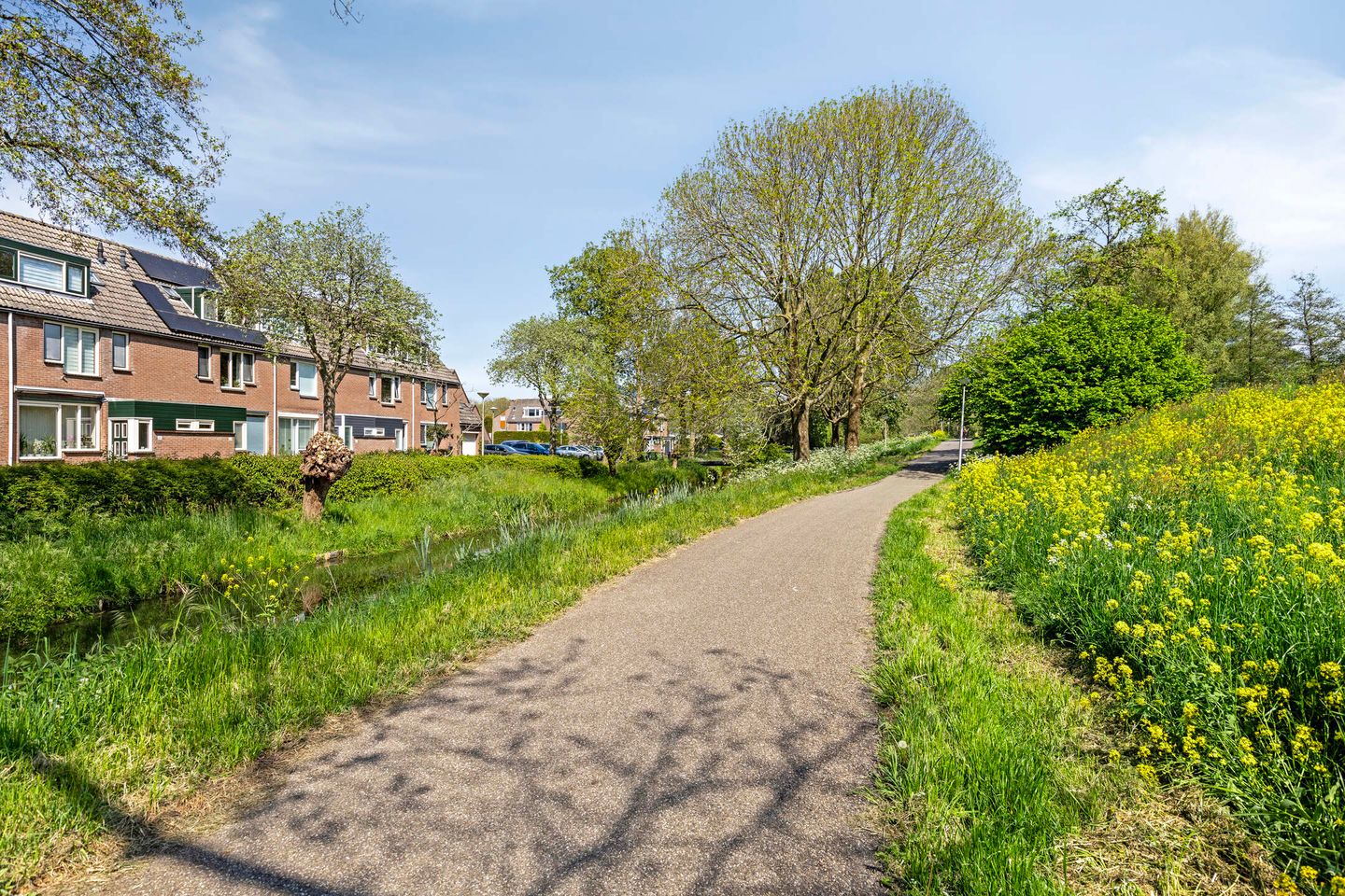 Foto 25 van Honingzwam 92