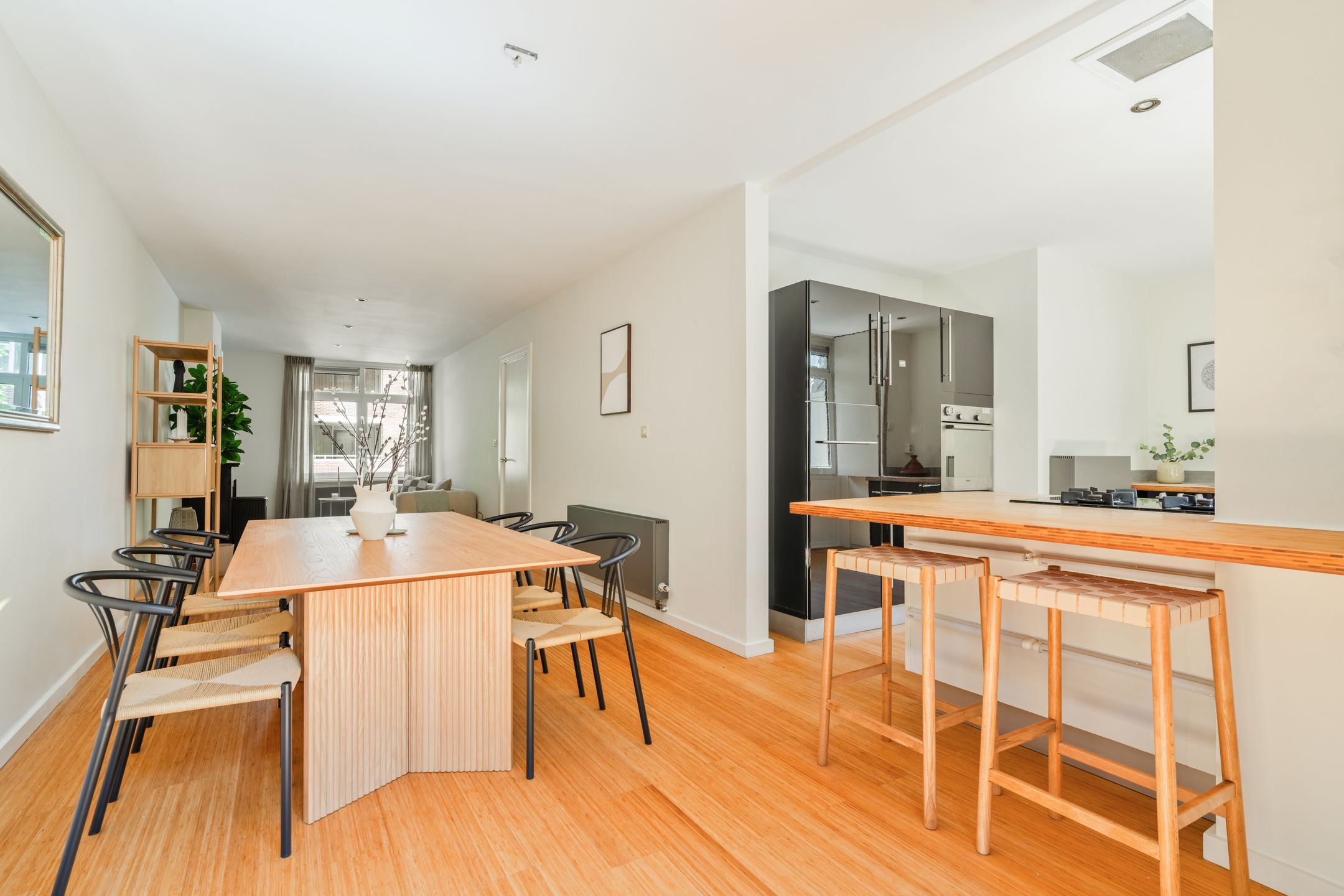 Foto 9 van Karel du Jardinstraat 62-1