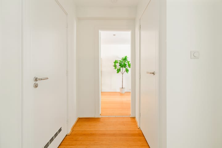 Foto 19 van Karel du Jardinstraat 62-1