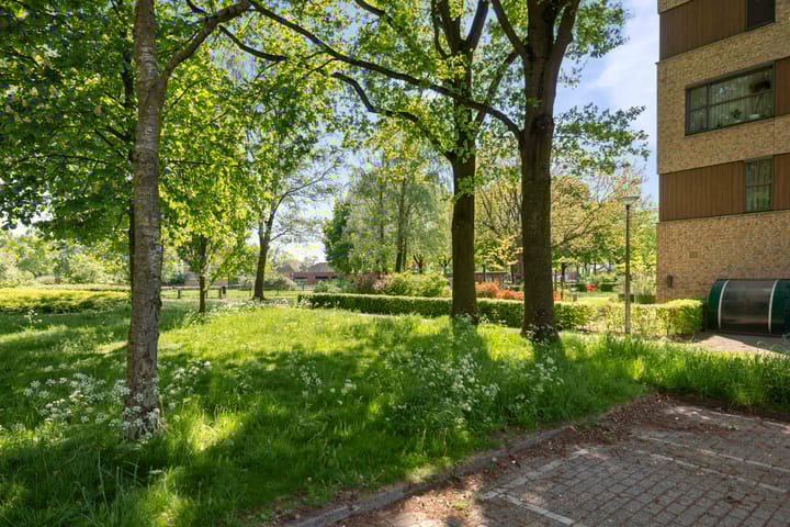 Foto 19 van Waalstraat 135