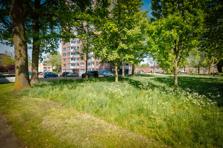 Foto 20 van Waalstraat 135