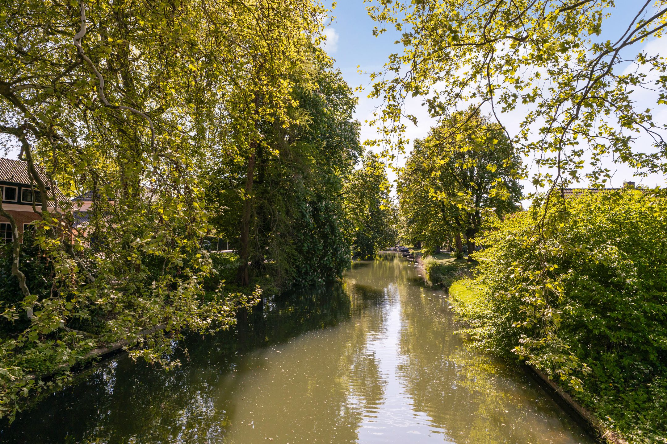 Photo 39 of Kronenburgplantsoen 12-B