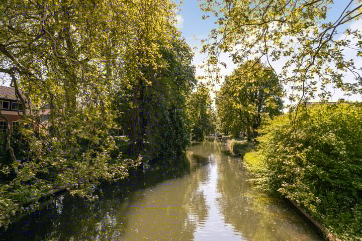 Foto 39 van Kronenburgplantsoen 12-B