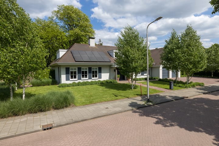 Photo 41 of Top Naeffdreef 21