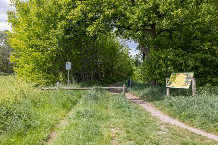 Photo 57 of Top Naeffdreef 21