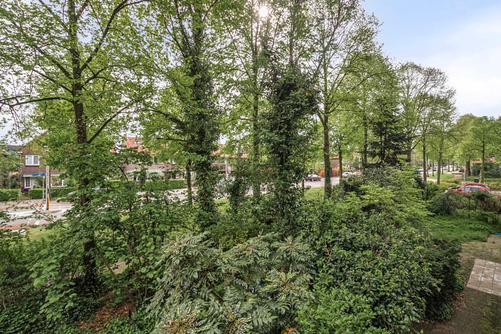 Foto 18 van Graaf Lodewijklaan 77