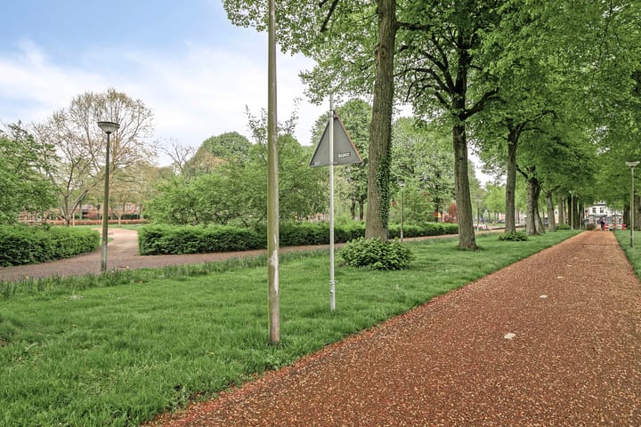 Photo 23 of Graaf Lodewijklaan 77