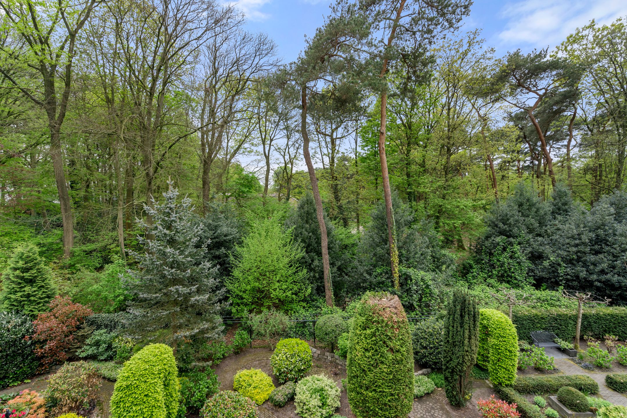 Foto 33 van Wilgenlaan 32