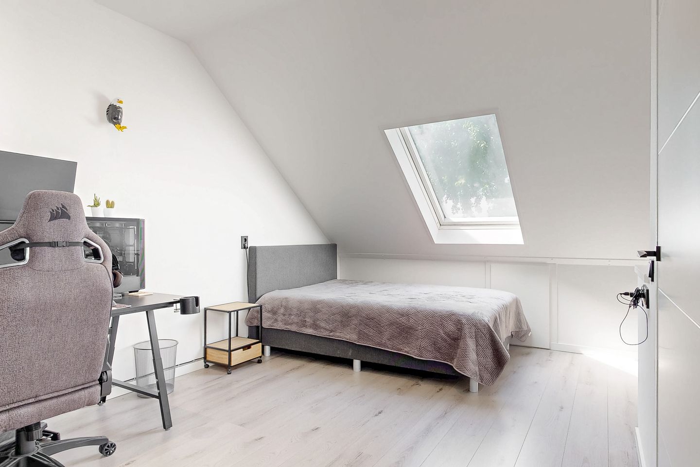 Foto 25 van Tijger 4