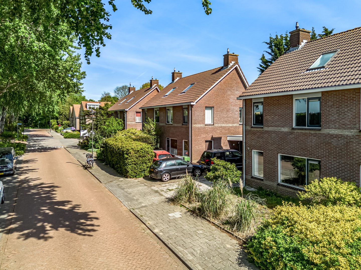 Foto 34 van Tijger 4