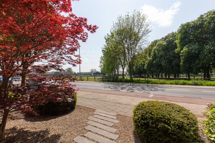 Foto 8 van Witte Kruis 41