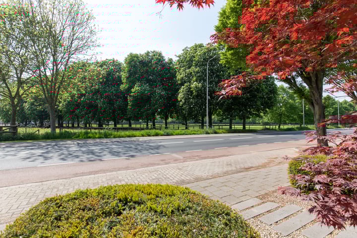 Foto 9 van Witte Kruis 41