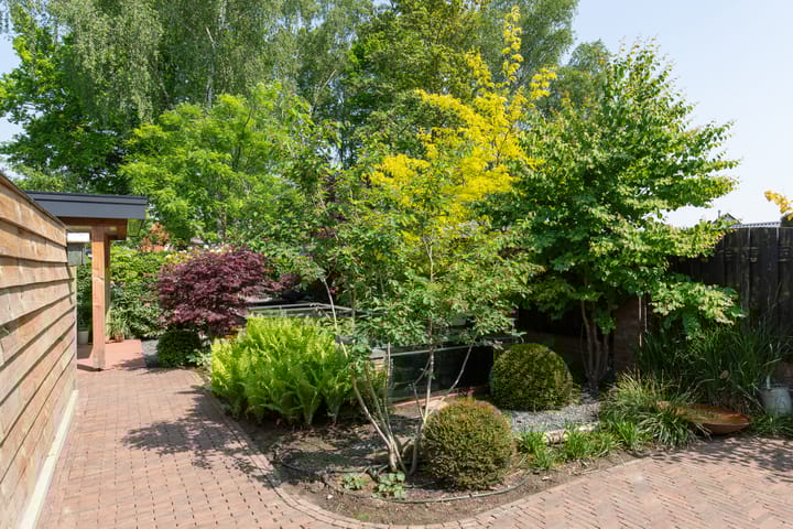 Foto 43 van Witte Kruis 41