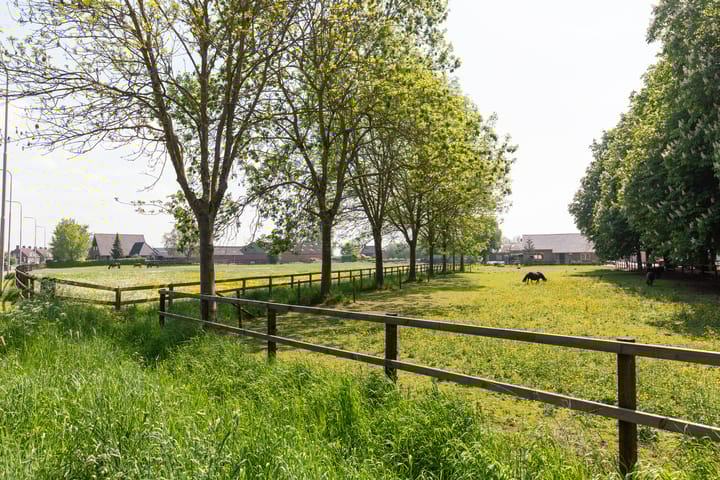 Foto 59 van Witte Kruis 41