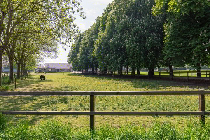 Foto 60 van Witte Kruis 41