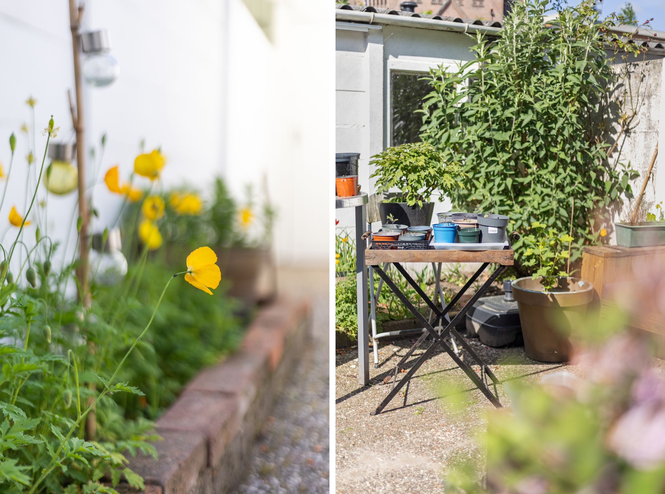 Photo 39 of Stuivesantplein 7