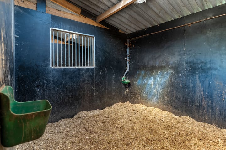 Foto 55 van Roosendaalsebaan 38