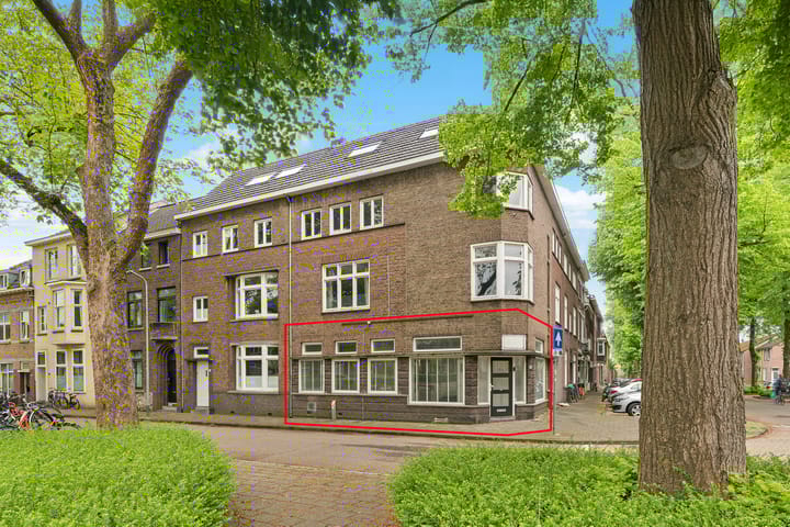 Foto 1 van Volksplein 13