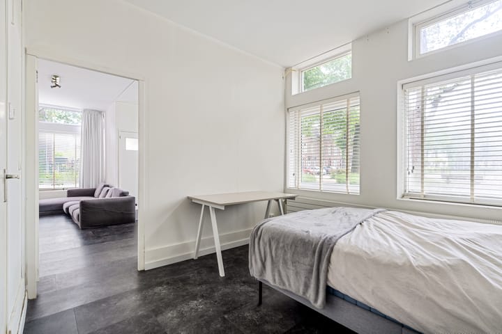 Foto 10 van Volksplein 13