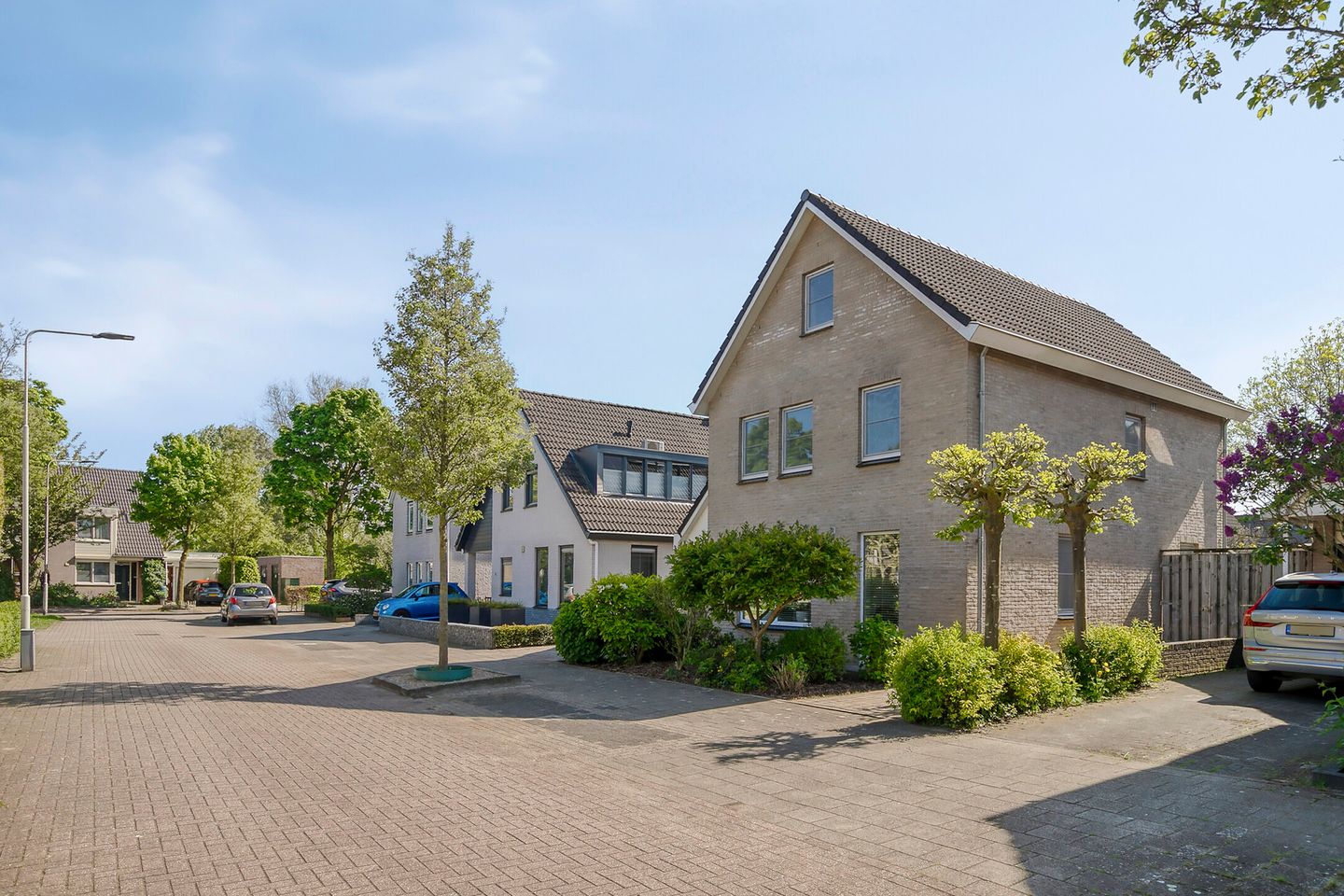 Foto 5 van De Gewanten 5