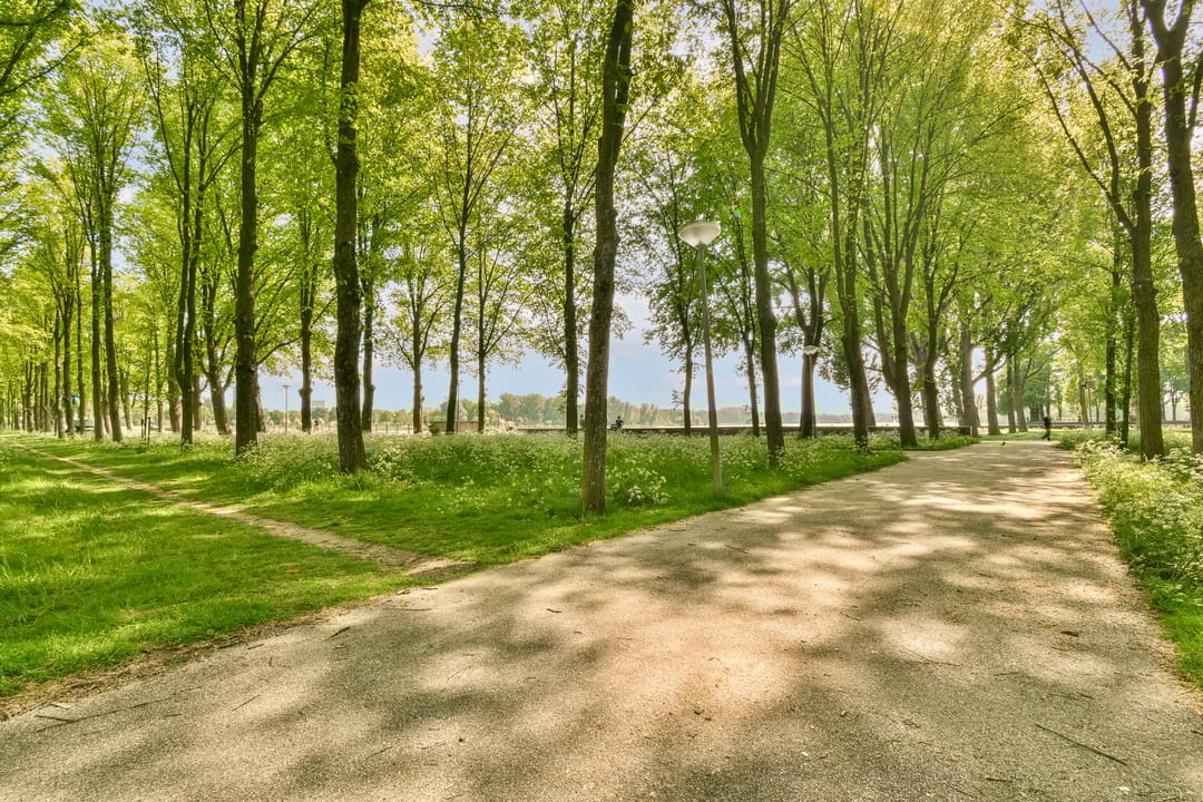 Foto 28 van Burgemeester Hogguerstraat 897