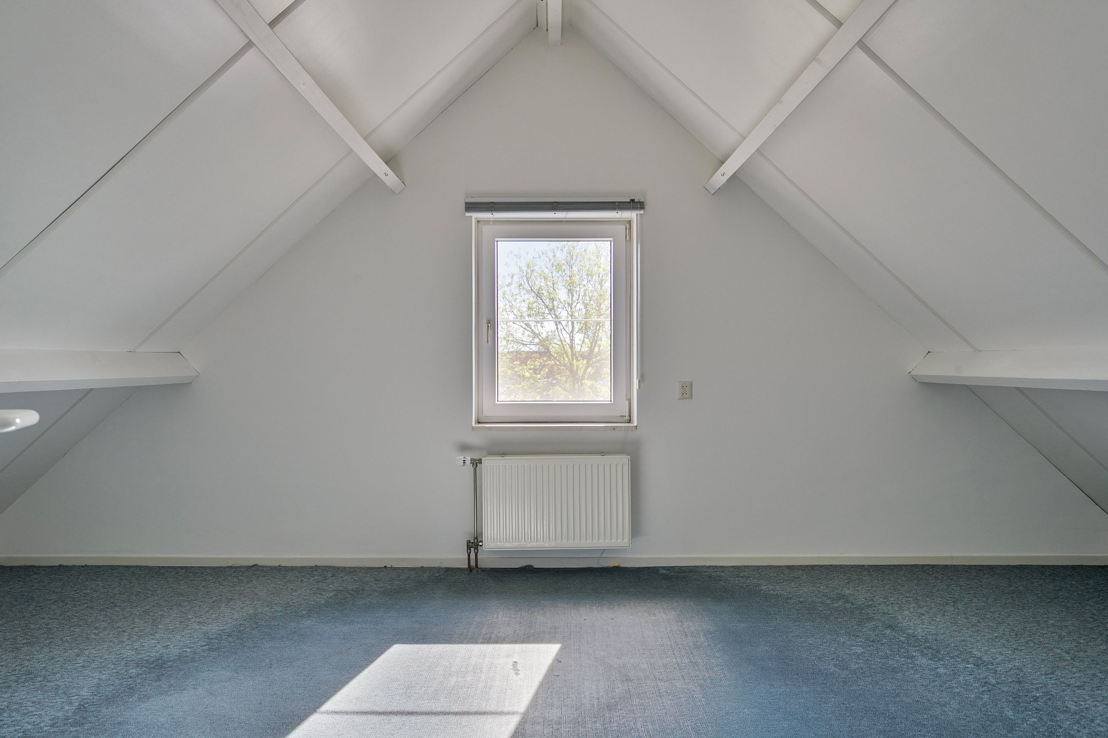 Foto 33 van De Gewanten 5