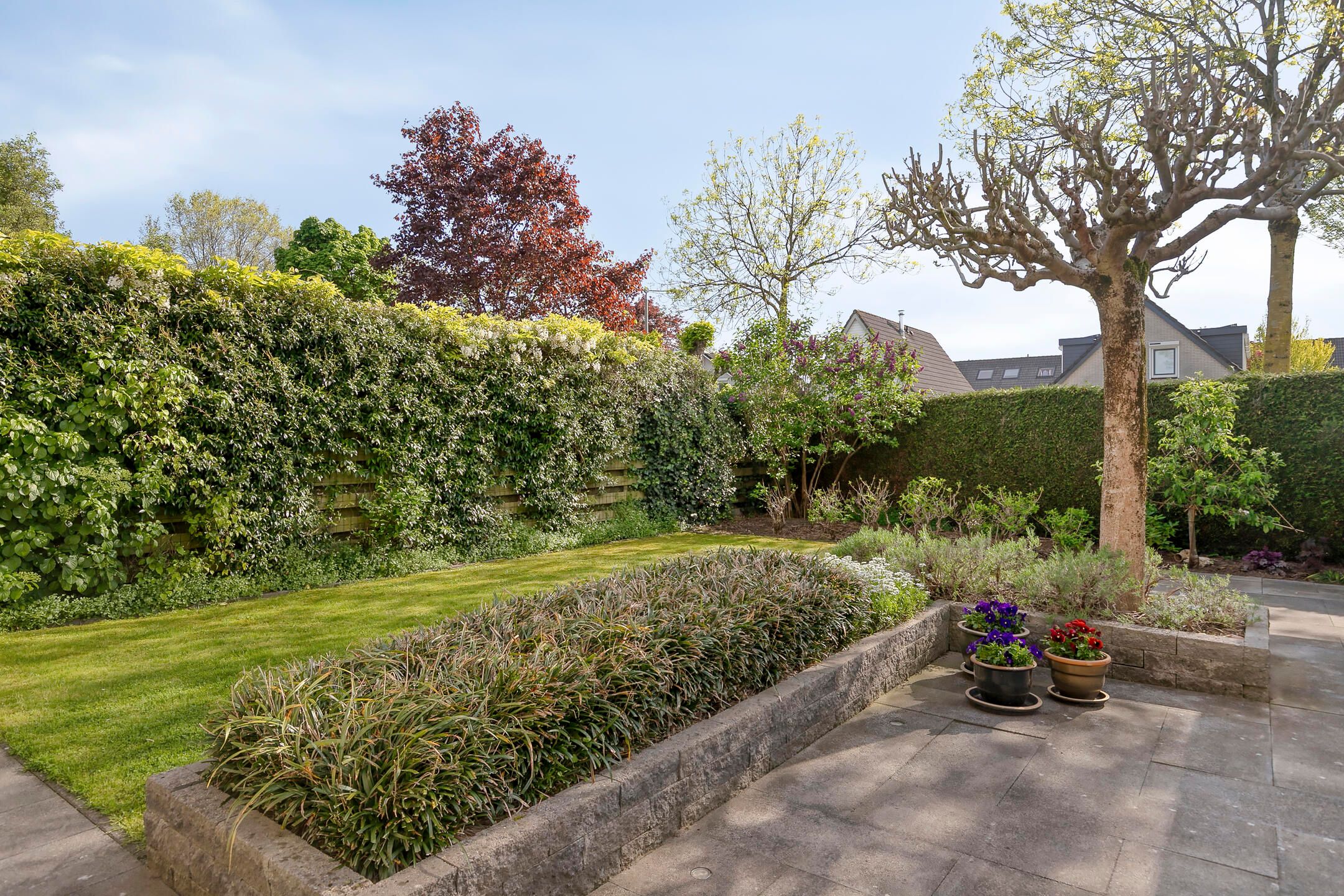 Foto 36 van De Gewanten 5