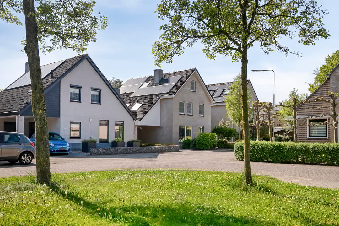 Foto 41 van De Gewanten 5