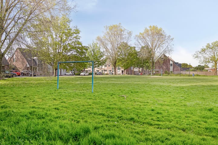 Foto 43 van De Gewanten 5