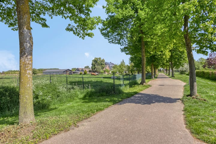 Foto 40 van Koningszuur 2