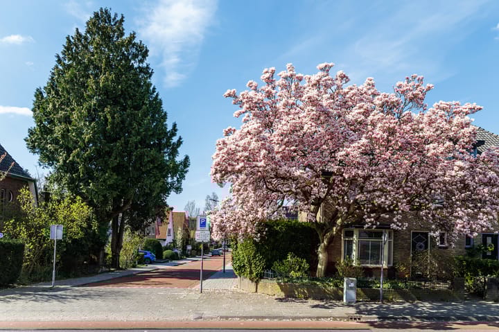 Foto 40 van van Irhovenlaan 5