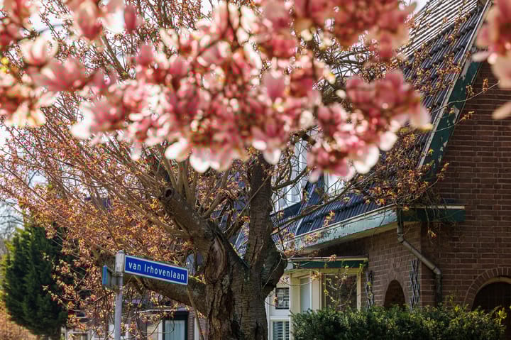 Foto 41 van van Irhovenlaan 5