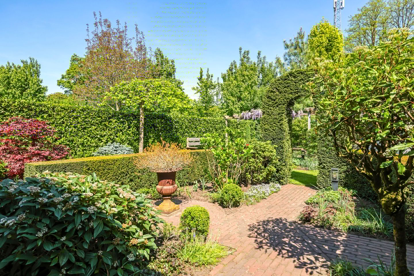 Photo 49 of Meidoornlaan 11