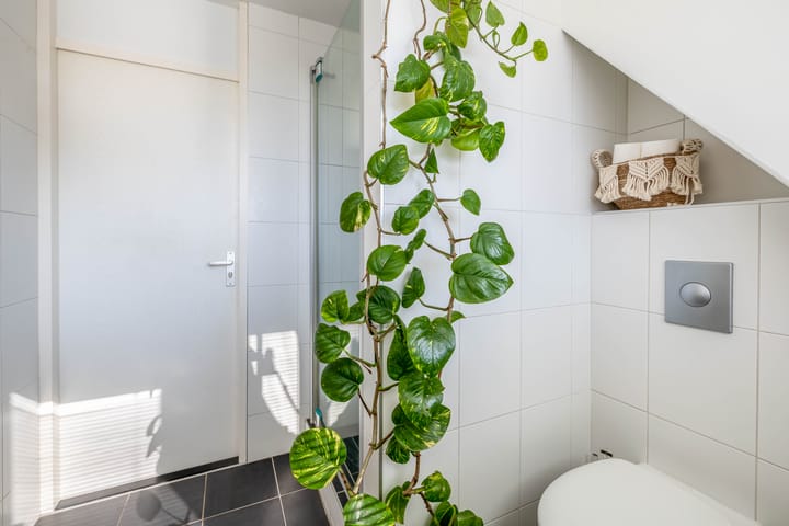 Foto 20 van Irissenpad 7