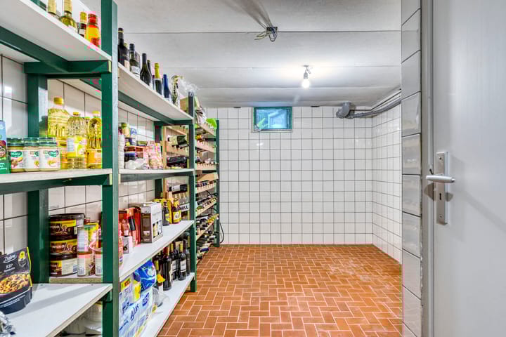 Foto 21 van van Mellincrodestraat 1