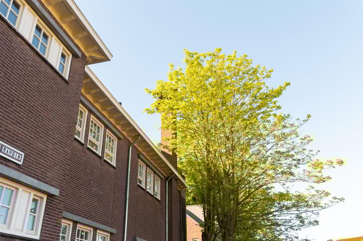 Foto 5 van Hof van Olijven 1