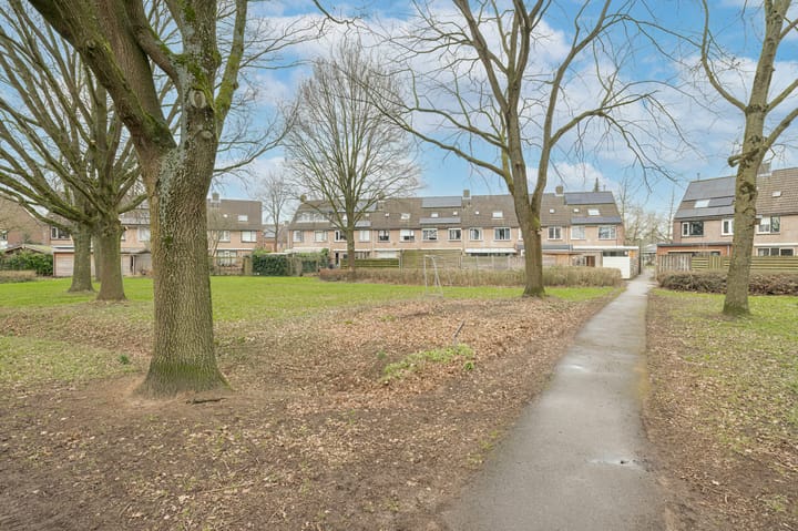 Foto 39 van Friese Steen 60