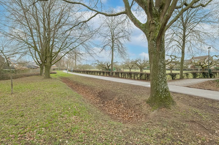 Foto 40 van Friese Steen 60