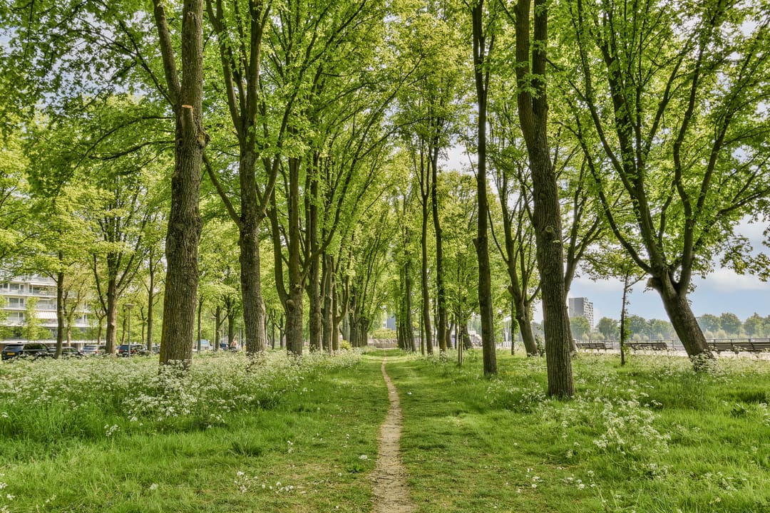 Foto 16 van Burgemeester Hogguerstraat 389